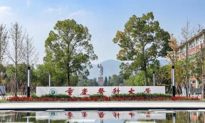 重庆医科大学国际医学院怎么样