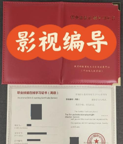 影视编导是本科吗