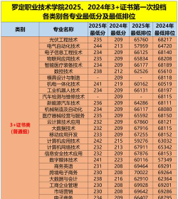 2024年罗定职业技术学院分数线是多少