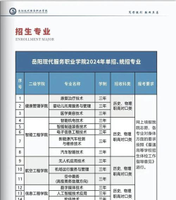 2024年岳阳现代服务职业学院最新分数线