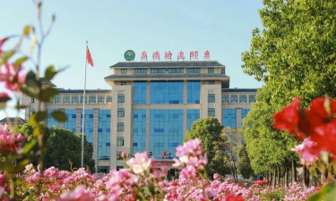 阜阳幼儿师范高等专科学校是公办大学吗