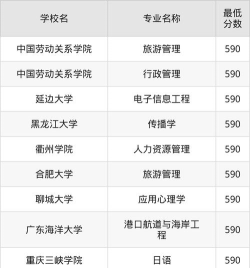 2025年590分能报的大学推荐