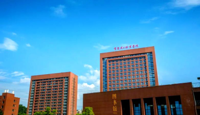 重庆理工职业学院是公办大学吗