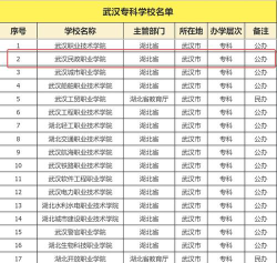 2024武汉民办专科学校一览表