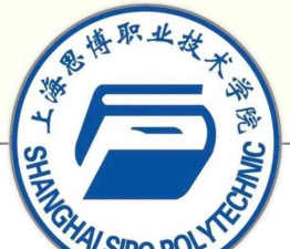 上海思博职业技术学院是公办大学吗