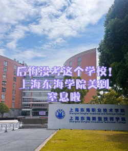 上海东海职业技术学院是公办大学吗