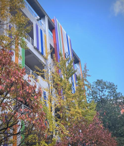 四川有哪些数字媒体技术专业学校