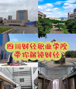 四川有哪些投资与理财专业学校