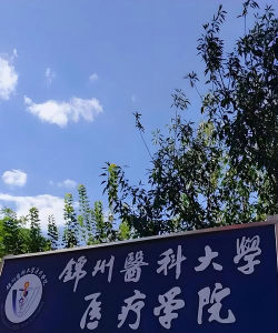 锦州医科大学医疗学院是本科吗
