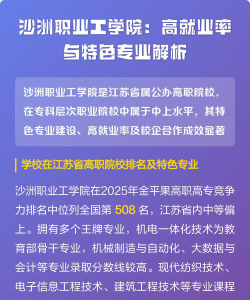 沙洲职业工学院的专业