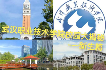武汉职业技术学院评价怎么样
