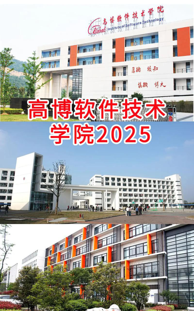 苏州高博软件技术职业学院是本科吗
