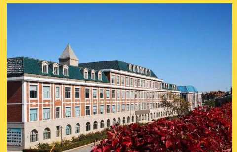大连枫叶职业技术学院有多大