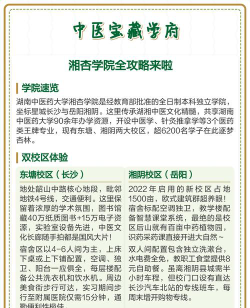 湘杏学院什么专业最好