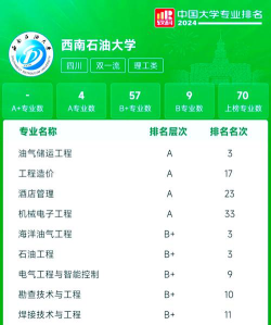西南石油大学有专科专业吗