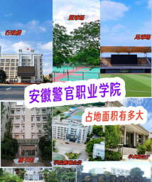 合肥警官学院属于哪个区