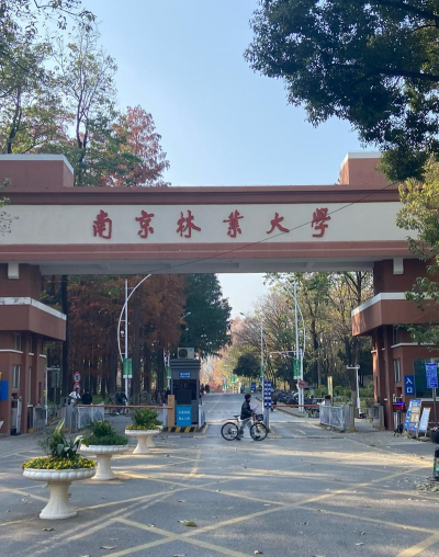南京林业大学属于南京的什么区