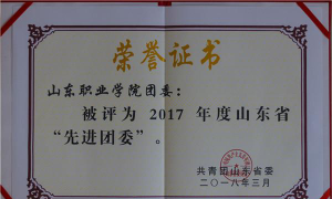 山东职业学院主修毕业证和普通毕业证有区别吗