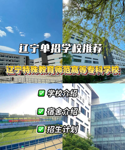 辽宁特殊教育师范高等专科学校是公办大学吗