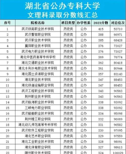 2024年湖北开放职业学院录取分数线：最低150分