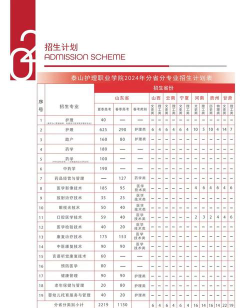 2024年泰山护理职业学院录取分数线：最低315分