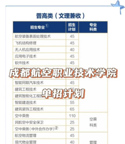 2024年成都航空职业技术学院在河南计划招生人数