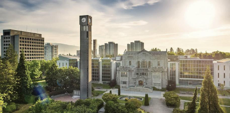 debu是什么大学