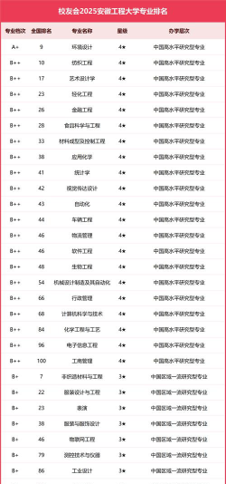 安徽哪些大学有金融工程专业