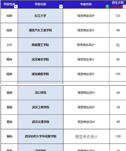 湖北哪些大学有视觉传达设计专业