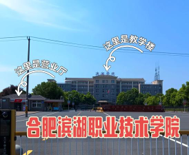 民办合肥滨湖职业技术学院是本科吗