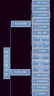 广东哪些专科有体育运营与管理专业