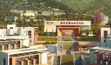 攀枝花攀西职业学院是公办还是民办院校?