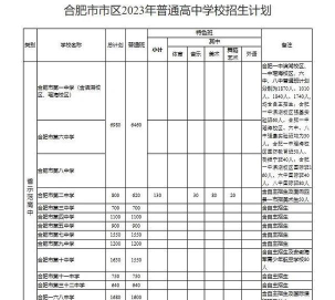 2024年合肥城市学院在广东计划招生人数