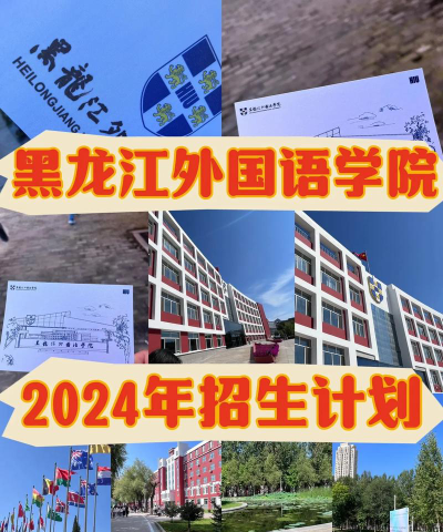 2024年黑龙江外国语学院在广东计划招生人数
