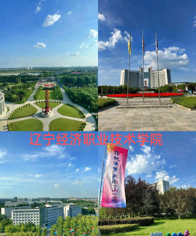 辽宁经济职业技术学院是公办还是民办院校?