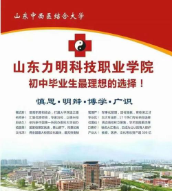 2024年山东力明科技职业学院在河南计划招生人数（附学费及专业录取分数)