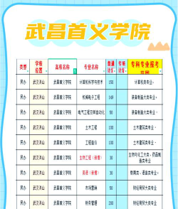 2024年武昌首义学院在新疆计划招生人数（附学费及专业录取分数)
