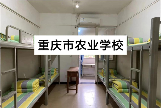 重庆市农业学校有护理专业吗
