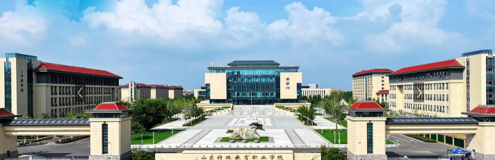 山东特殊教育职业学院是公办还是民办院校?