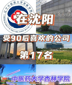2024年北京大学和辽宁中医药大学杏林学院对比数据