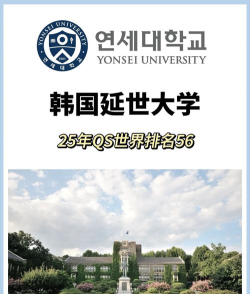 韩国延世大学排名