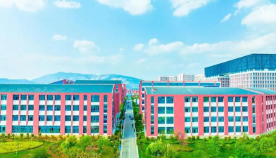 云南医药健康职业学院是本科吗