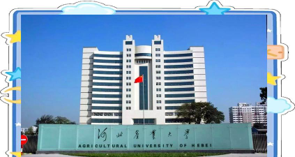 河北农业大学现代科技学院是公办大学吗
