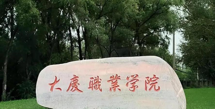 大庆职业学院是公办还是民办院校?