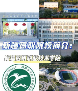 新疆应用职业技术学院是公办还是民办院校?