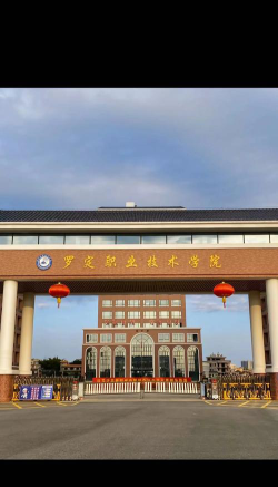 罗定职业技术学院是公办大学吗