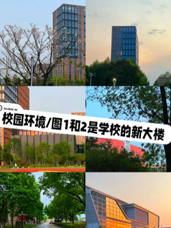 2024年中国人民大学和浙江纺织服装职业技术学院对比数据