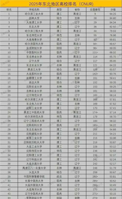 东北中档大学排名