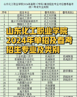 2024山东化工最好的学校排名