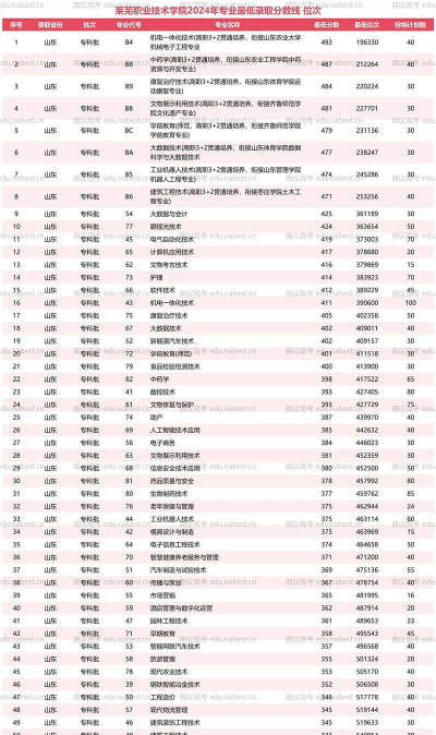 2024莱芜学院排名